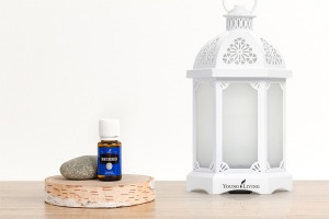 Young Living Lantern Essential Oil Diffuser and Wintergreen Oil Bottle